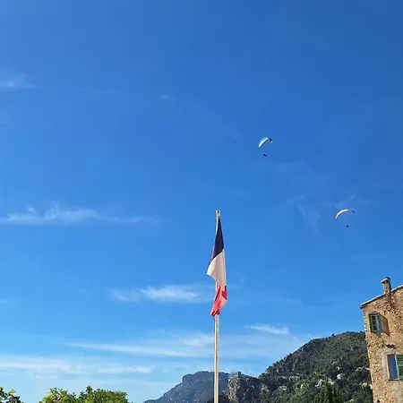 Le Petit Olivier Appartement